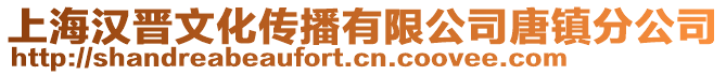 上海漢晉文化傳播有限公司唐鎮分公司