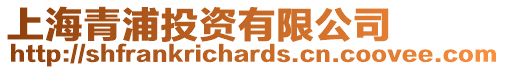 上海青浦投資有限公司