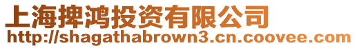 上海捭鴻投資有限公司