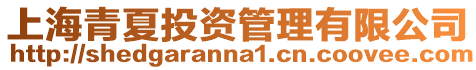 上海青夏投資管理有限公司