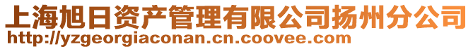 上海旭日資產(chǎn)管理有限公司揚(yáng)州分公司