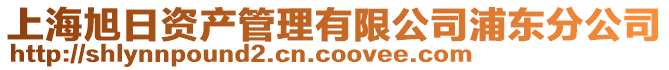 上海旭日資產管理有限公司浦東分公司