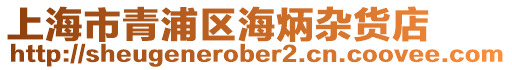 上海市青浦區海炳雜貨店