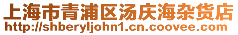 上海市青浦區湯慶海雜貨店