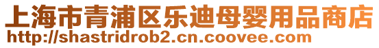 上海市青浦區樂迪母嬰用品商店