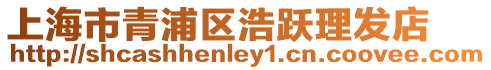 上海市青浦區浩躍理發店