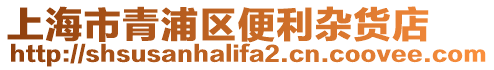 上海市青浦區(qū)便利雜貨店