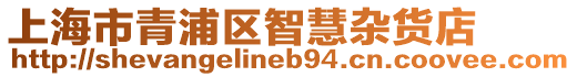 上海市青浦區(qū)智慧雜貨店