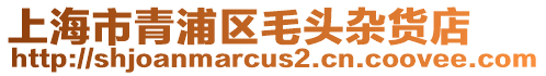 上海市青浦區(qū)毛頭雜貨店