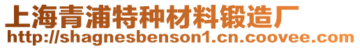 上海青浦特種材料鍛造廠