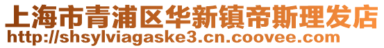 上海市青浦區華新鎮帝斯理發店