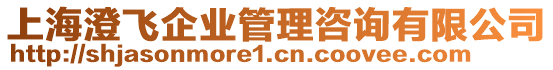 上海澄飛企業(yè)管理咨詢(xún)有限公司