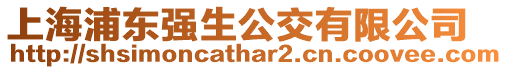上海浦東強生公交有限公司