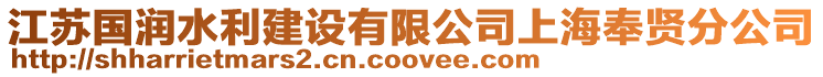 江蘇國潤水利建設有限公司上海奉賢分公司