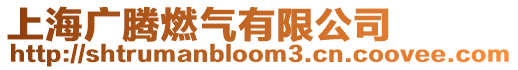 上海廣騰燃氣有限公司
