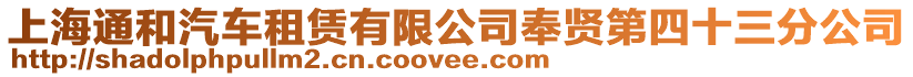 上海通和汽車租賃有限公司奉賢第四十三分公司