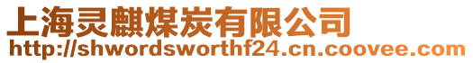 上海靈麒煤炭有限公司