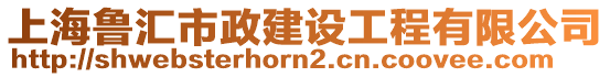 上海魯匯市政建設(shè)工程有限公司