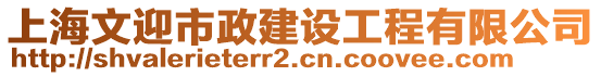 上海文迎市政建設(shè)工程有限公司