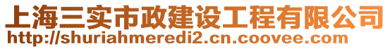 上海三實市政建設工程有限公司