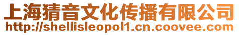 上海猜音文化傳播有限公司