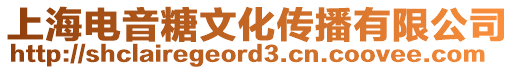 上海電音糖文化傳播有限公司
