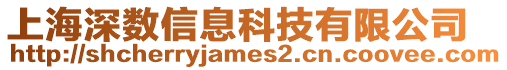 上海深數(shù)信息科技有限公司