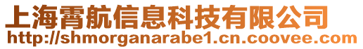 上海霄航信息科技有限公司