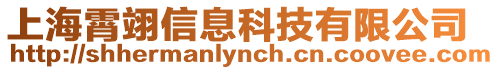 上海霄翊信息科技有限公司