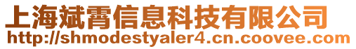 上海斌霄信息科技有限公司