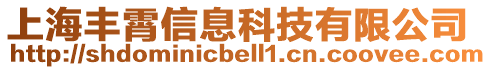 上海豐霄信息科技有限公司