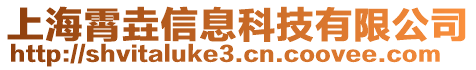 上海霄垚信息科技有限公司