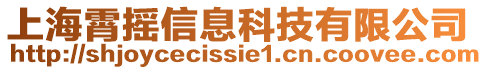 上海霄搖信息科技有限公司