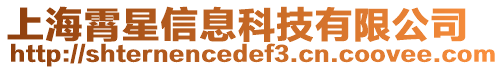 上海霄星信息科技有限公司
