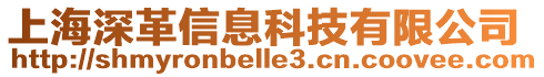 上海深革信息科技有限公司