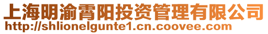上海明渝霄陽(yáng)投資管理有限公司