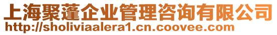 上海聚蓬企業(yè)管理咨詢有限公司