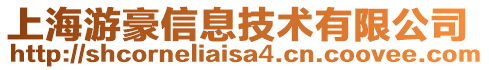 上海游豪信息技術(shù)有限公司