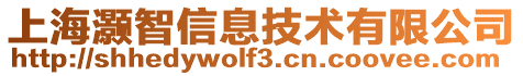 上海灝智信息技術有限公司