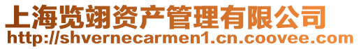 上海覽翊資產(chǎn)管理有限公司