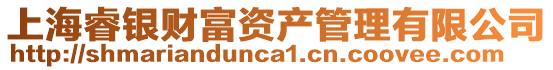 上海睿銀財富資產管理有限公司