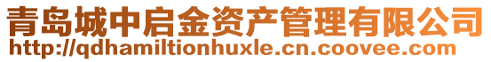 青島城中啟金資產管理有限公司