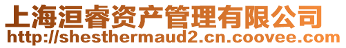 上海洹睿資產管理有限公司