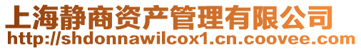 上海靜商資產(chǎn)管理有限公司