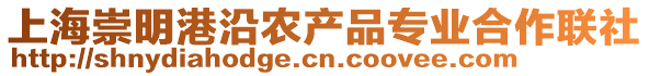 上海崇明港沿農(nóng)產(chǎn)品專業(yè)合作聯(lián)社
