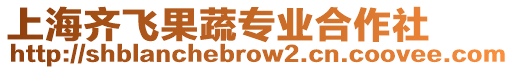 上海齊飛果蔬專業合作社