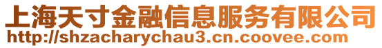 上海天寸金融信息服務(wù)有限公司