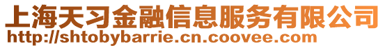上海天習金融信息服務有限公司
