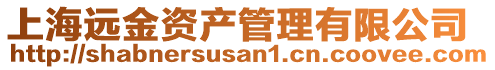 上海遠(yuǎn)金資產(chǎn)管理有限公司