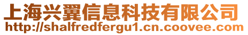 上海興翼信息科技有限公司